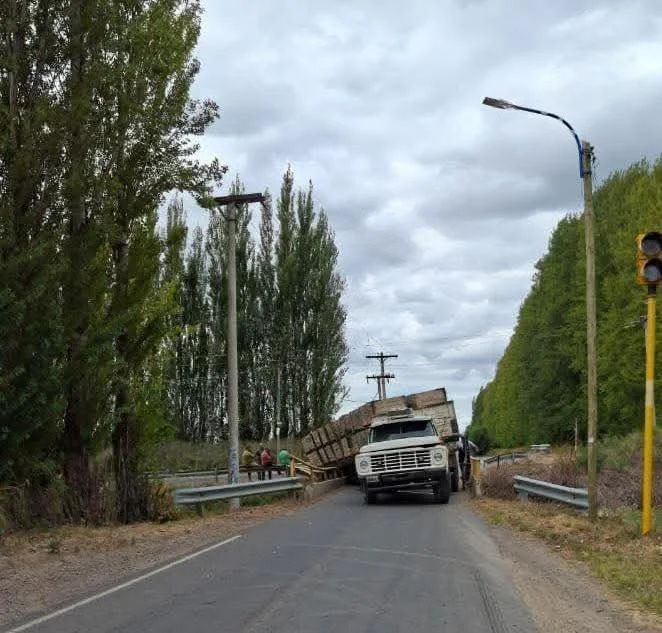 camión perdió bines