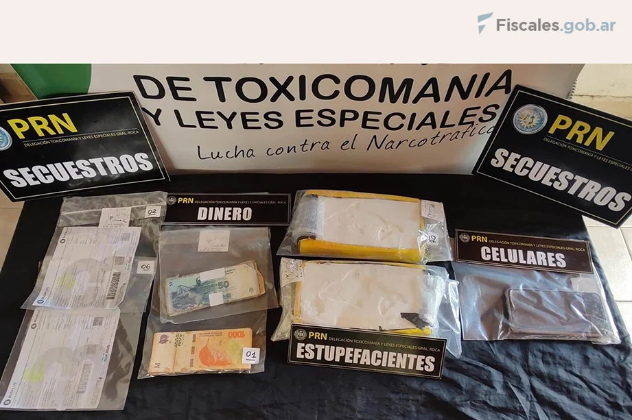 droga delfín