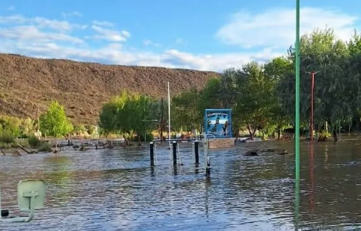 Veteranos campaña solidaria2