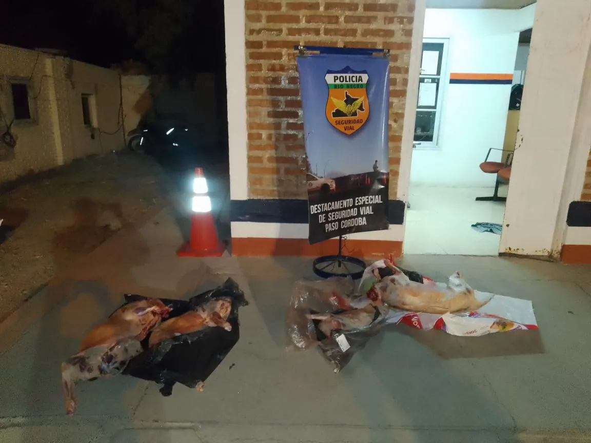paso córdoba decomiso corderos