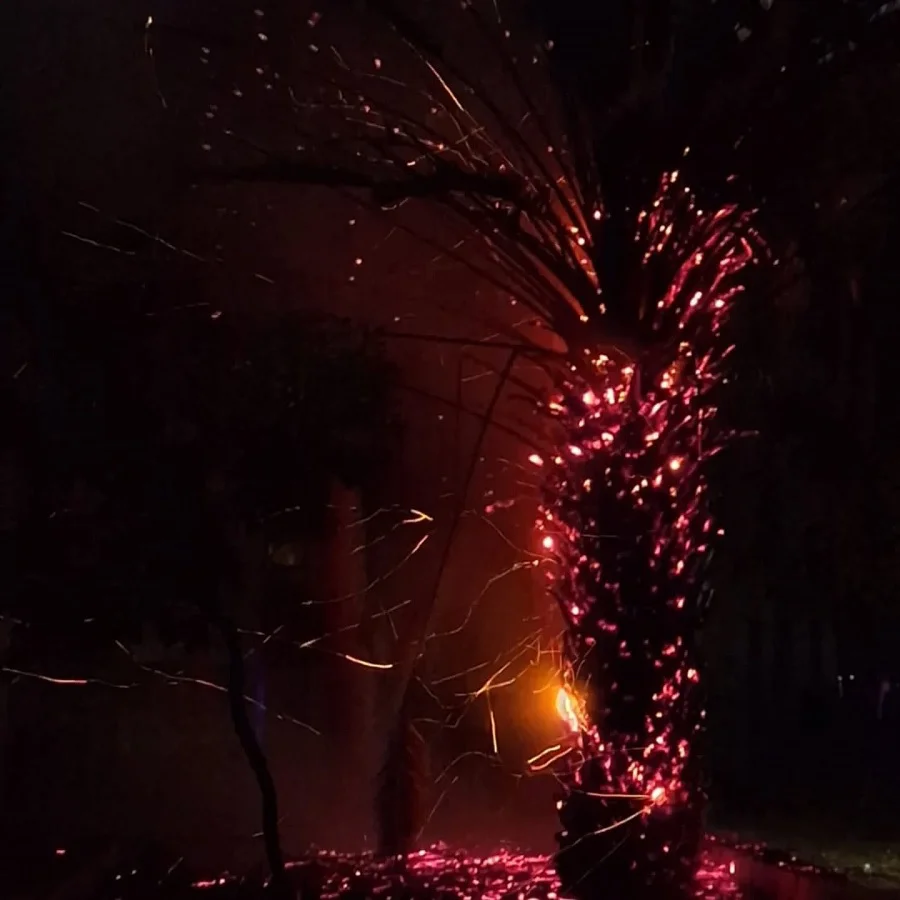 incendio 827 palmeras