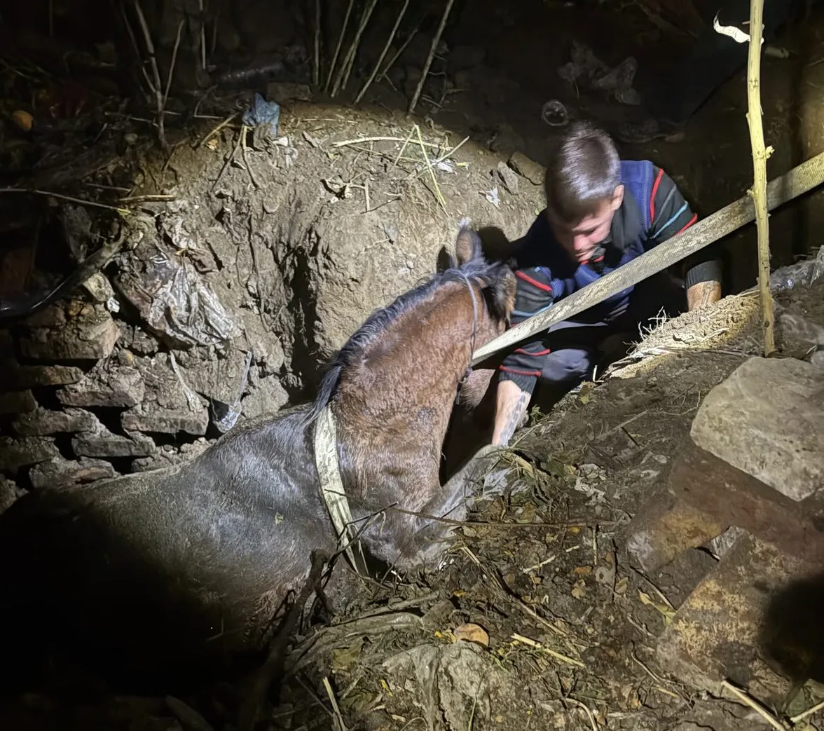 bomberos rescate yegua1