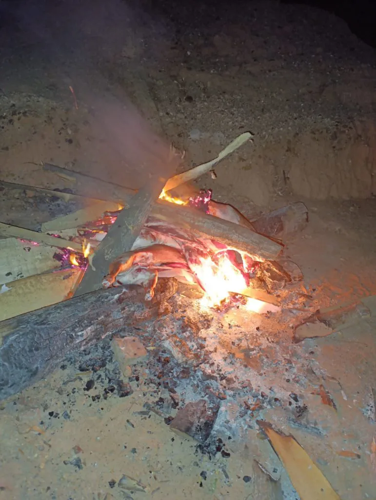 corderos decomisados2