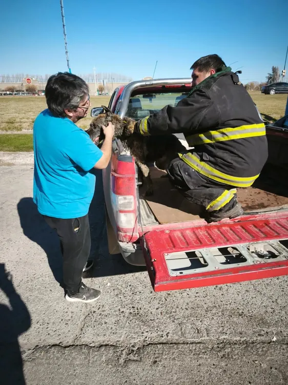 bomberos2