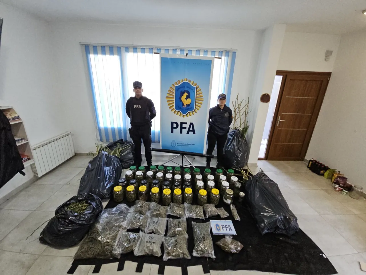 PFA allanamientos3