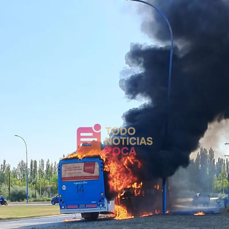 INCENDIO COLECTIVO IMAGEN