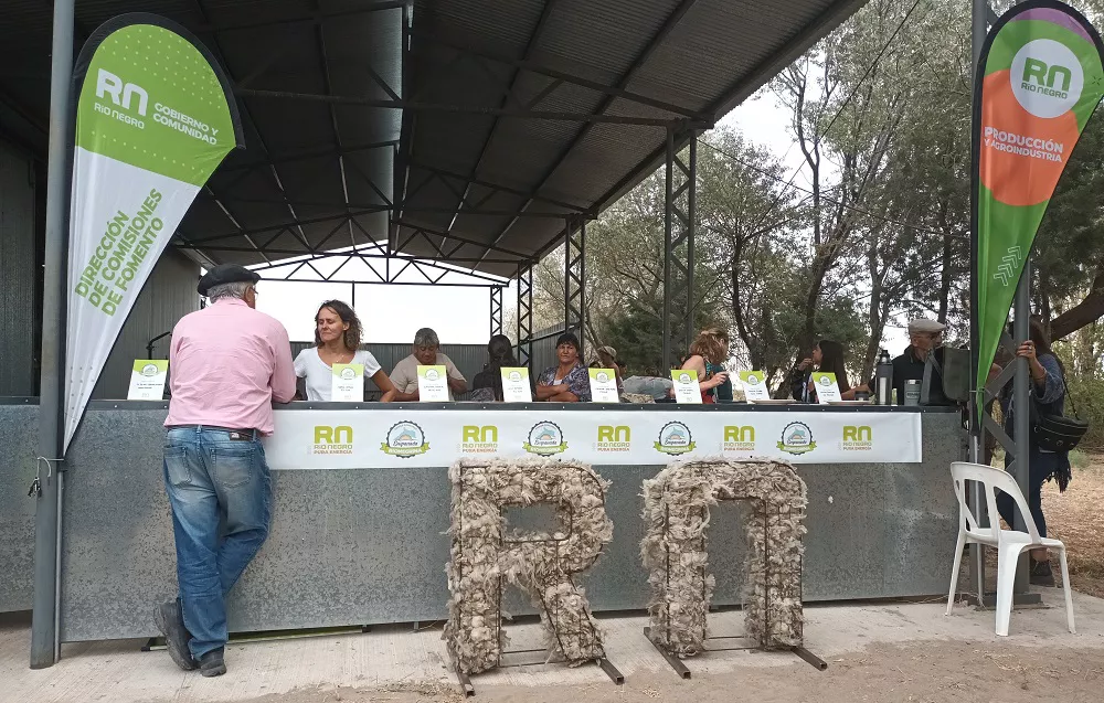 concurso empanada1