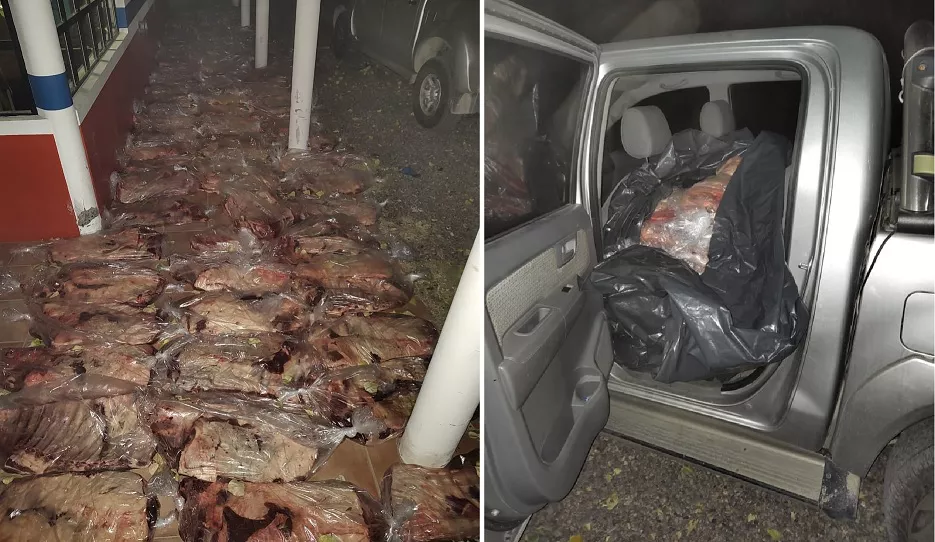 costillares decomisados1