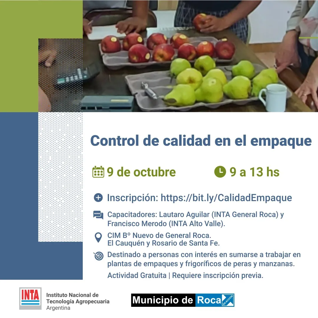 curso empaque