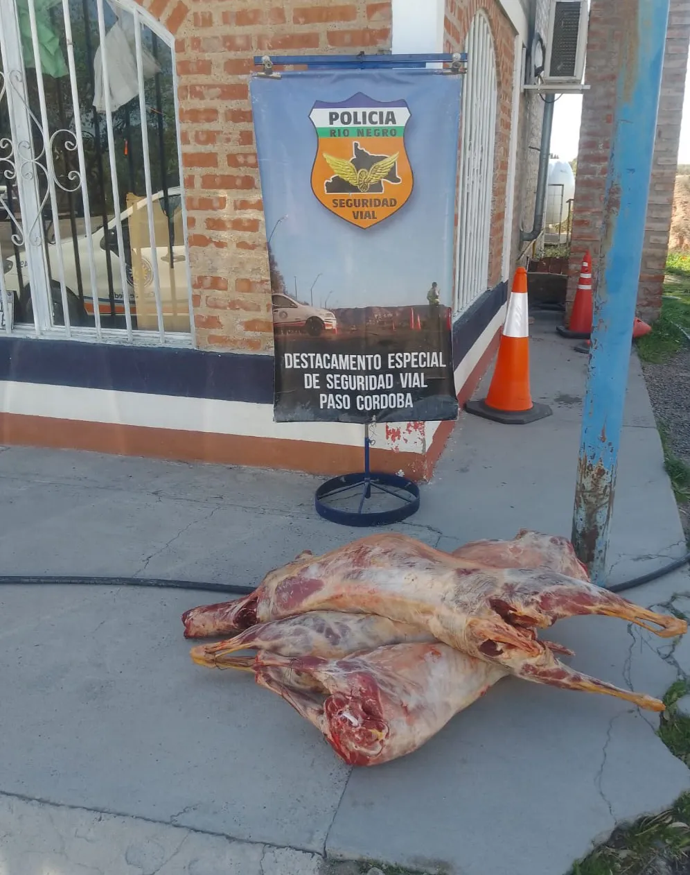 decomiso de carne