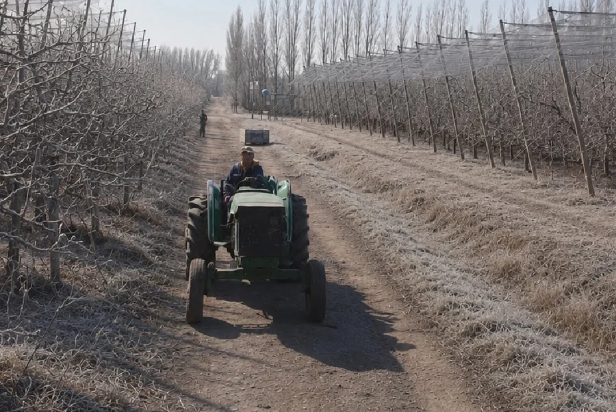 chacra helada tractor