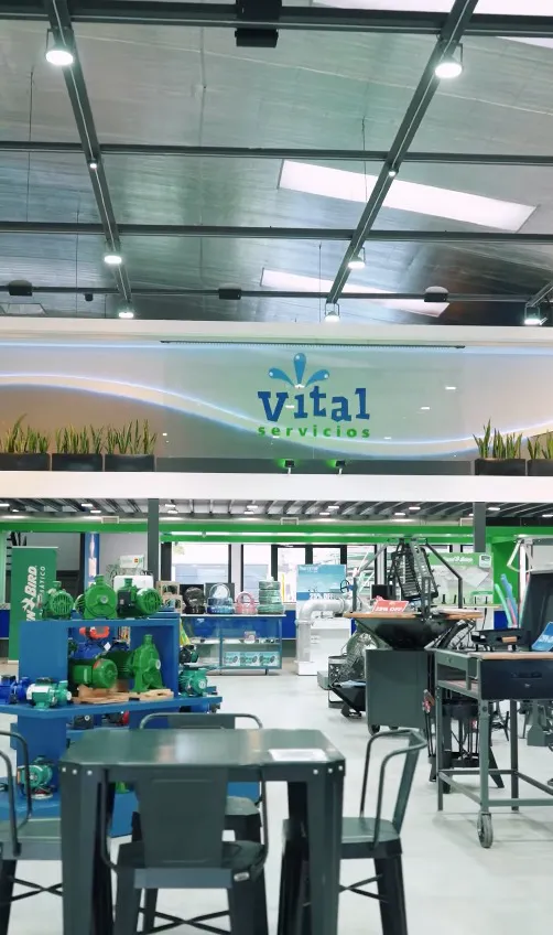 vital 3