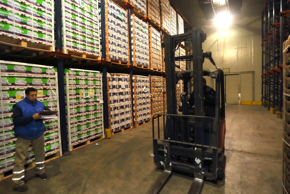 exportación de frutas