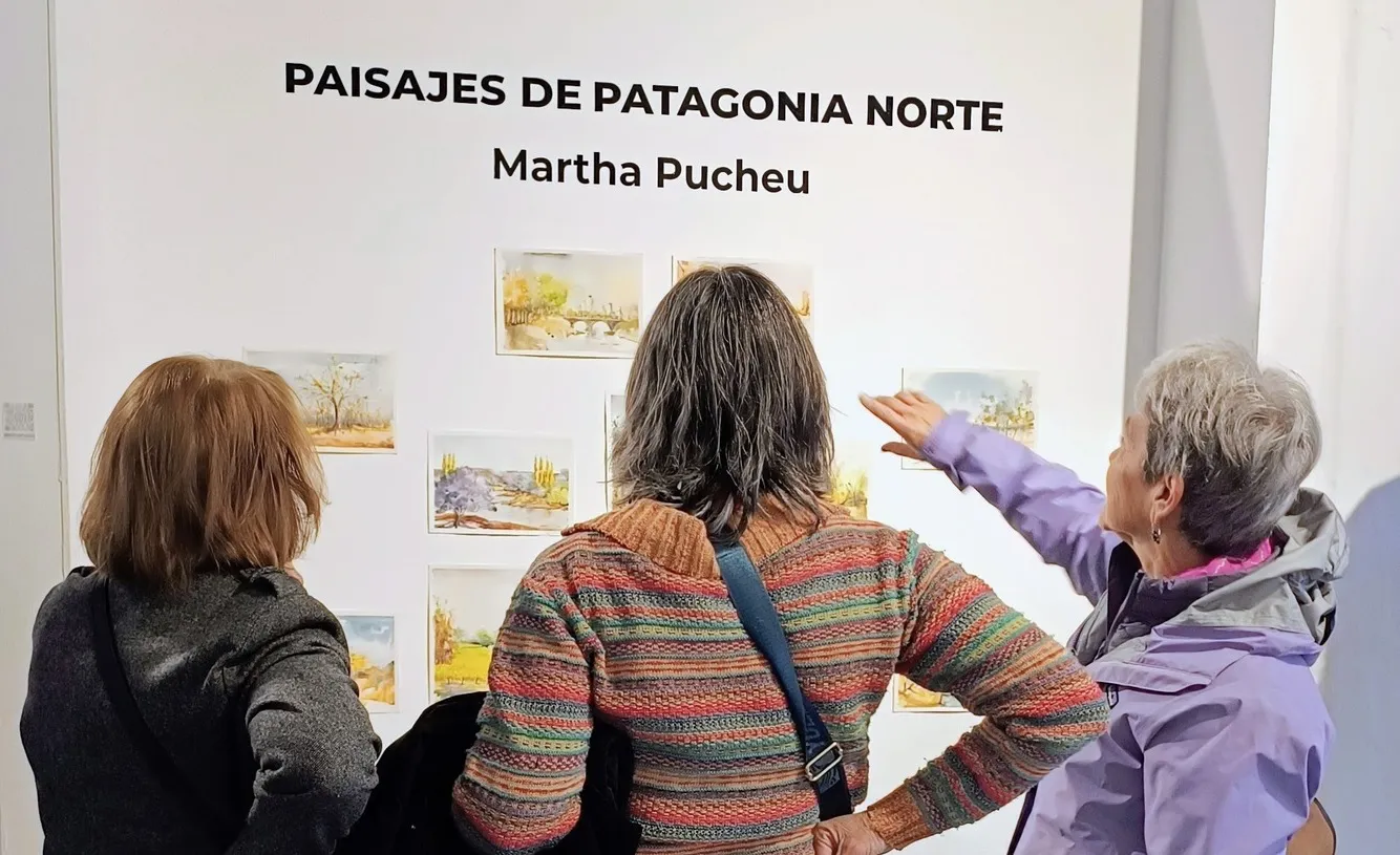 MM BELLAS ARTES Pucheu