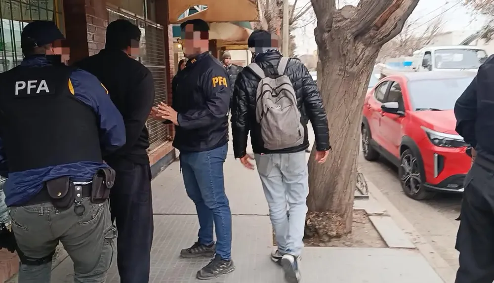 ciberdelito PFA