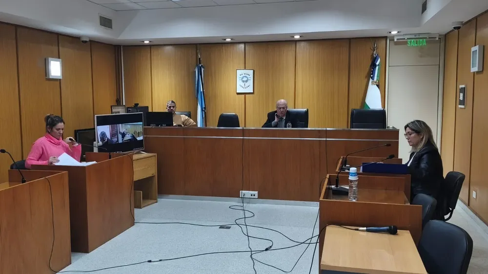 audiencia robo Stefenelli