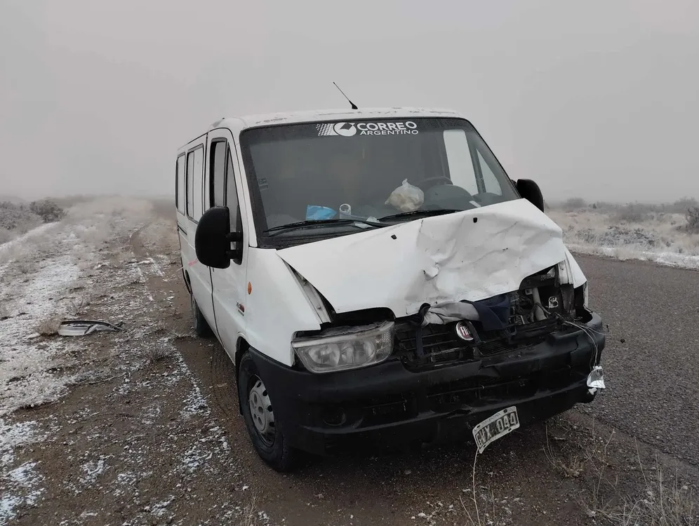 camioneta correo choque animal suelto