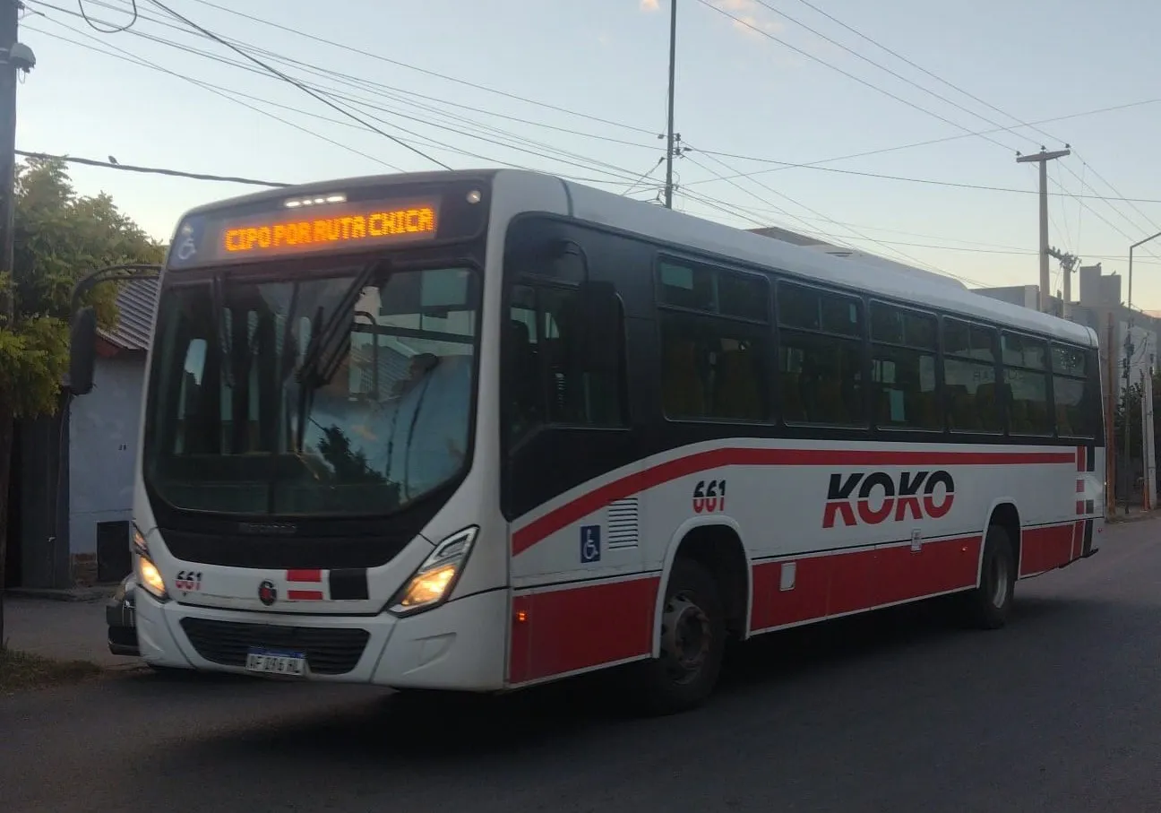 colectivo KOKO