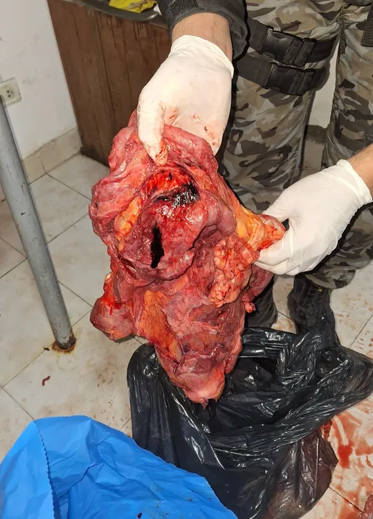 INSPECCIONES CARNICERIAS 2