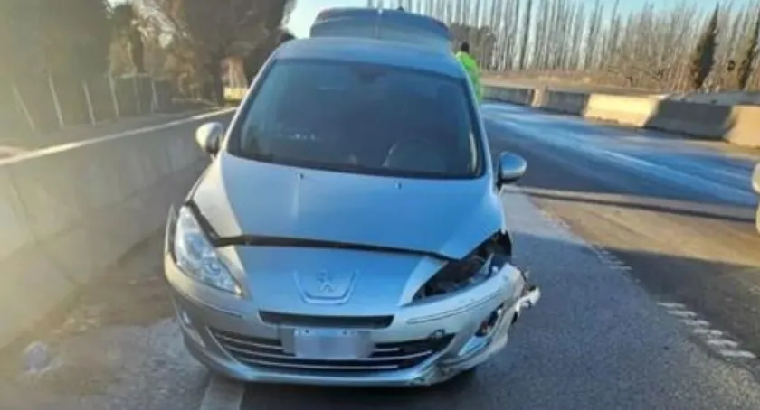 auto despiste ruta 22