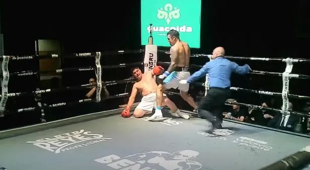 BOX LUIS 3