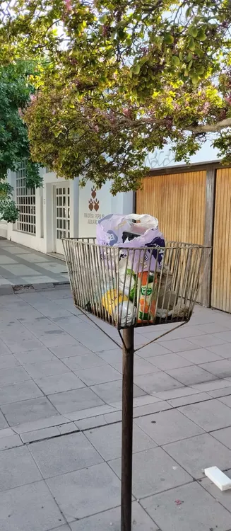 jeringas en la basura3