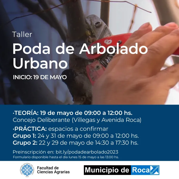 PODA ARBOLADO