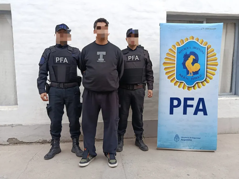 ciberdelito PFA2