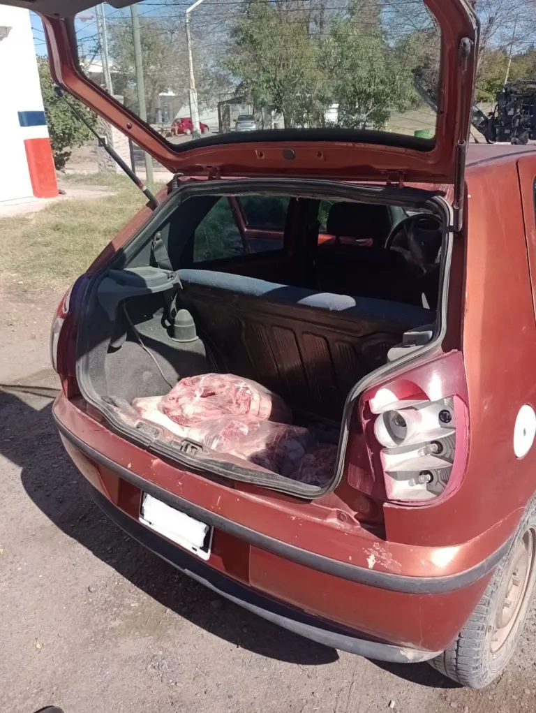 decomiso-operativo-2-768x1021