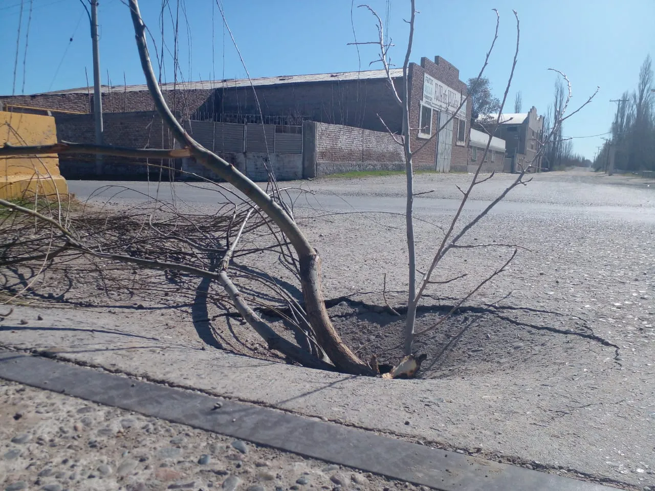 bache zona rural