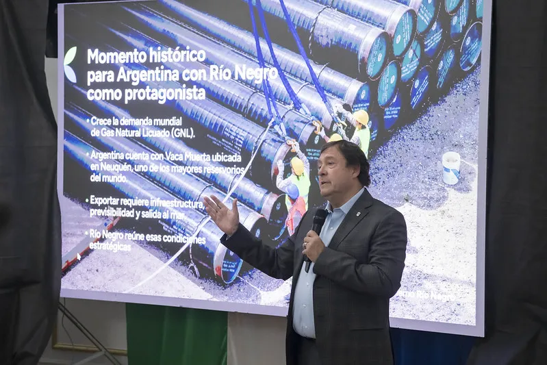 weretilneck vaca muerta