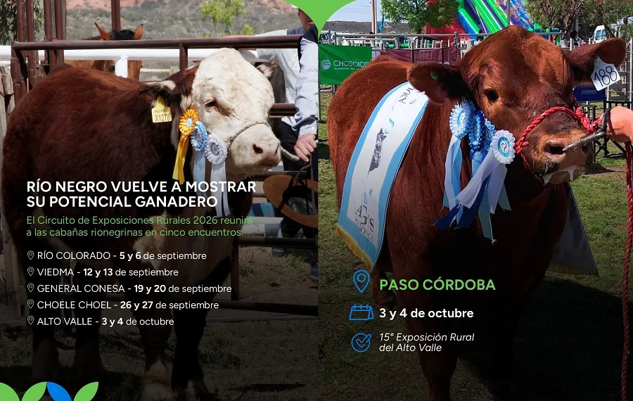 rurales