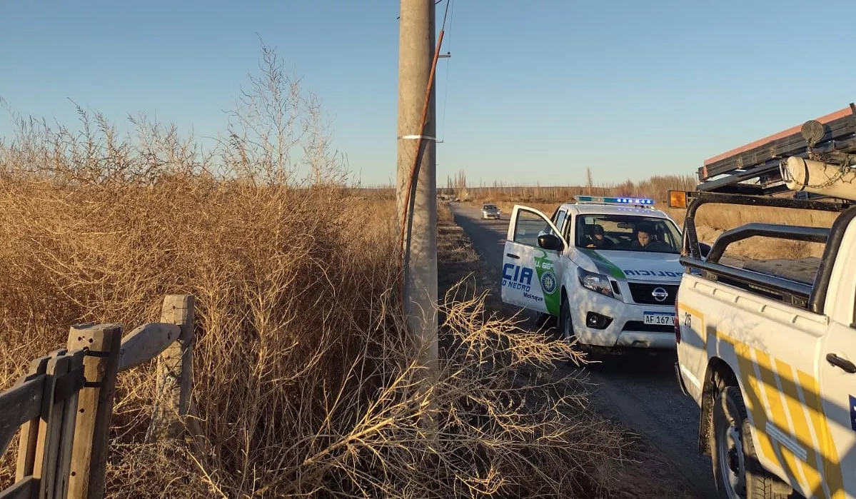 edersa vandalismo y robo3