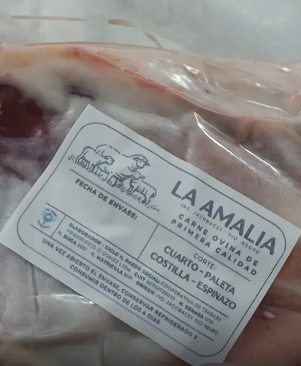 carne frigorífico (3)